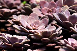 亜鉛サプリの飲み合わせで注意すべき薬は？