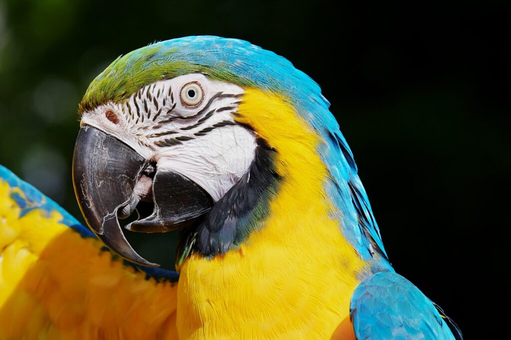 プラセンタサプリの効果に関する口コミはどうなっている？