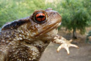サプリが肌荒れを悪化させる原因とは？