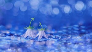 サプリの成分表示は嘘かどうか見抜く方法は？