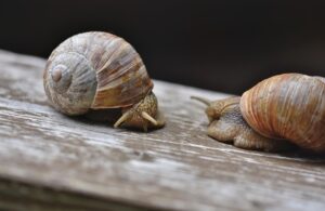 サプリの副作用に現れる初期症状とは？
