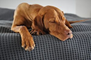 サプリを使って疲れやすい原因を解消する方法は？
