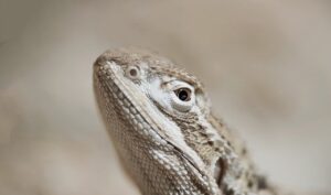 サプリを毎日飲む必要があるか見直す視点とは？