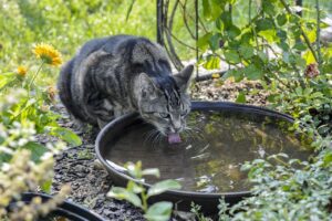 サプリ開封後はいつまで飲んでいいか判断基準は？