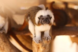 サプリメントを利用する際の脂質異常症に関する注意点は？