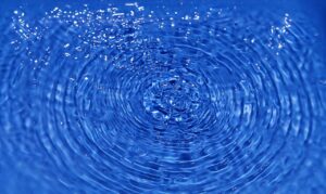サプリの酵素に期待される効果の根拠とは？