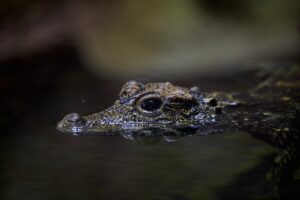サプリメントで痩せることが危険な理由とは？