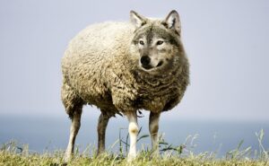サプリが危険な人の特徴とは？