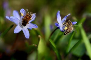 サプリメントの注意点を知らないと危険な理由とは？