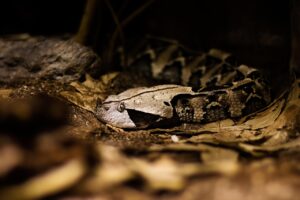 プロテインの飲み過ぎは本当に危険なのか？